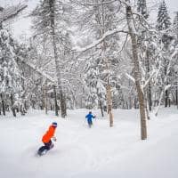 Canada tremblant ski entre arvores