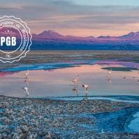 Nayara alto atacama pgb flamingos