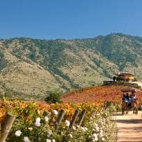 Rota do Vinho no Chile