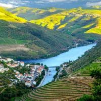 Amawaterways portugal vale do douro vinicolas