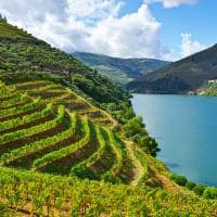 Amawaterways portugal vale do rio douro