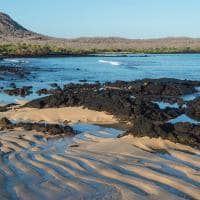 Galapagos andbeyond galapagos explorer dragon hill santa cruz