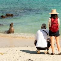 Galapagos andbeyond galapagos explorer leao marinho e viajantes