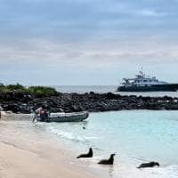 Galapagos andbeyond galapagos explorer vida selvagem