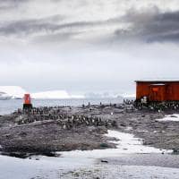 Silversea silver wind antartica base de pesquisa porto de mikkelsen