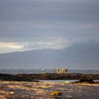 Silversea galapagos caminhando em punta espinoza