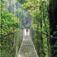 Costa rica selva tropical verde
