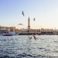 Det visit dubai dubai creek barcos