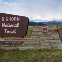 Eua bighorn floresta nacional entrada