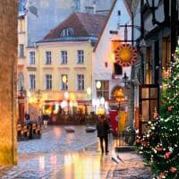 Cidade velha de tallinn iluminacao da arvore