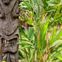 Escultura fijiana vegetação, Ilhas Fiji