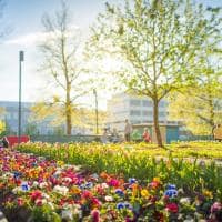 Tampere summer in city center