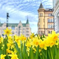 Visit tampere keskustori spring