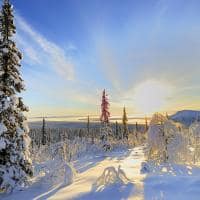 Vista em reserva natural da Lapônia, Finlândia.