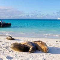 Iate aquaexpeditions galapagos aquamare praia animal