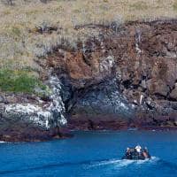 Iate aquaexpeditions galapagos aquamare rocha