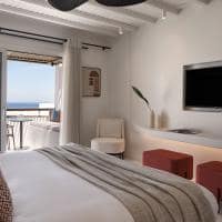 Andronis minois grecia paros quarto