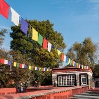 Shutterstock india norbulingka institute dharamshala