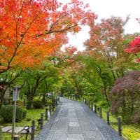 Hakone outono japao templo