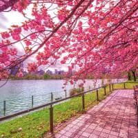 Parque ueno