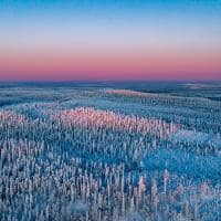 Laponia finlandia paisagem