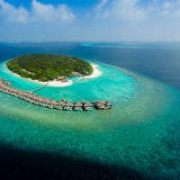 Dusit thani maldives exterior villa aerial
