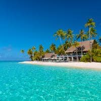 Maldivas velaa private island avi bar