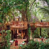 Niyama private islands nest restaurante
