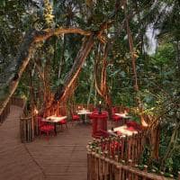 Niyama private islands nest tree top dining