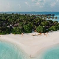 Sun siyam irufushi maldivas palm ocean