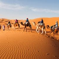 Caravana pelo deserto do Saara