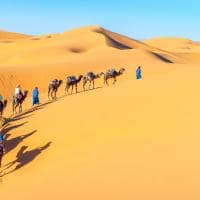 Viagem Marrocos passeio camelo Deserto Sahara