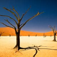 Deserto de Sossuvlei