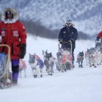 Noruega alta dogsledge