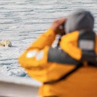 Quarkexpeditions spitsbergen urso polar