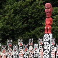 Rotorua maori