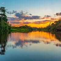 Peru floresta amazonas