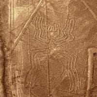 Shutterstock nazca