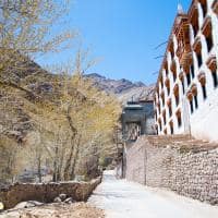 Ponto turístico: Monastério Hemis ladakh, Tibete