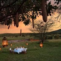 Mara bushtops jantar no salt lick