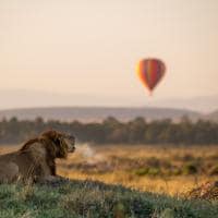 Quenia angama masai mara parque nacional leao balao