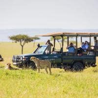 Quenia angama masai mara parque nacional safari guepardo