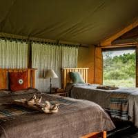 Quenia porini amboseli camp tenda