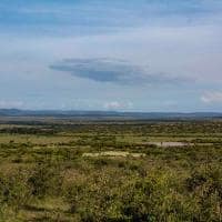 Quenia porini ol kinyei safari cottages paisagem