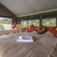 Quenia porini rhino camp tenda interior