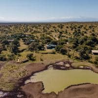 Quenia porini rhino camp vista aerea e watering hole