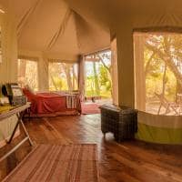 Quenia thesafaricollection salascamp forest luxury tent
