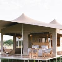 Roving bushtops tenda