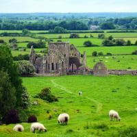 Irlanda abadia hore
