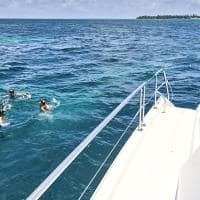 Waldorf astoria seychelles platte island day cruise